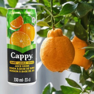 Cappy Laranja 330ml